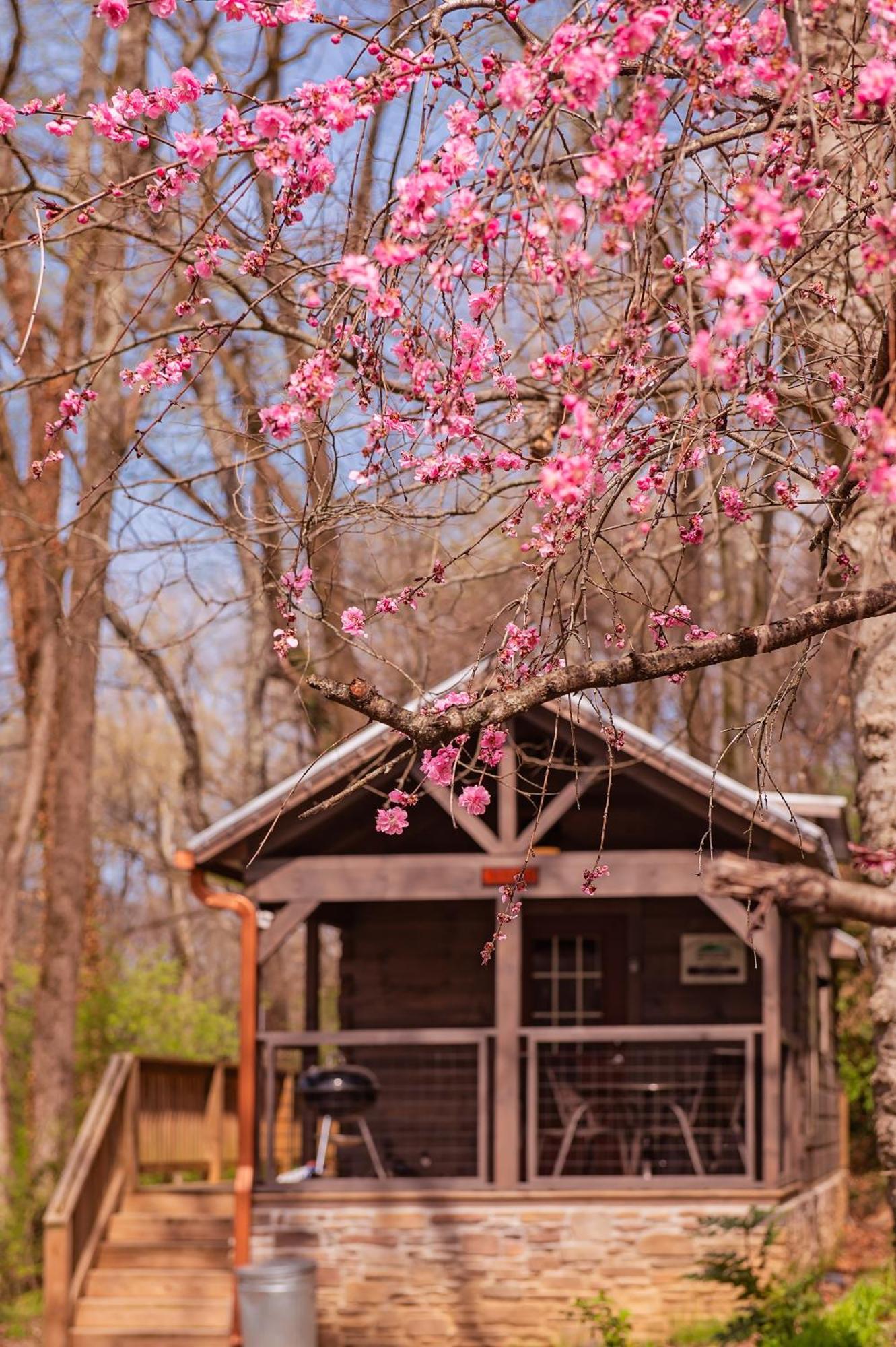 Ryon Tiny Home Cabin City-Side Rustic Retreat Chattanooga Eksteriør bilde